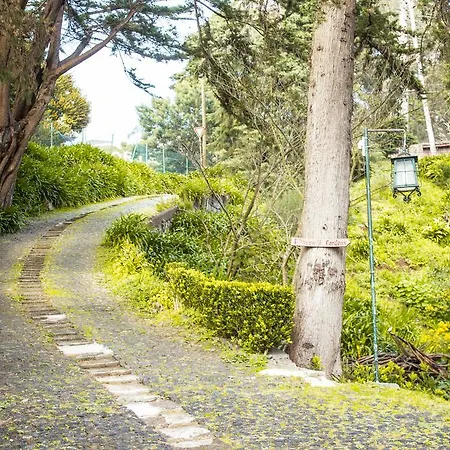 Hortensia Gardens *