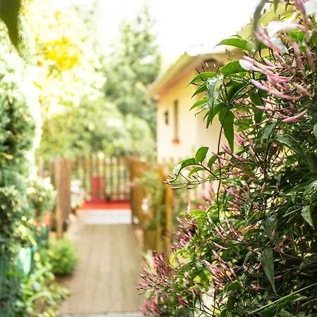 Hortensia Gardens Apartment *