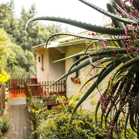 شقة Hortensia Gardens فونشال