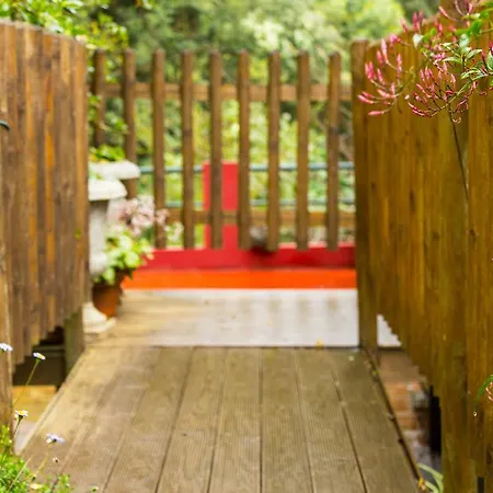 Hortensia Gardens * فونشال