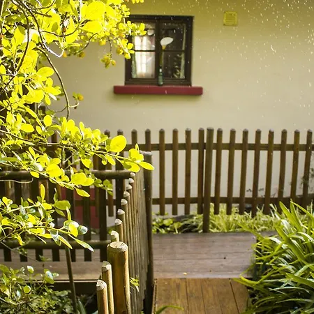 Hortensia Gardens Apartment Funchal (Madeira)