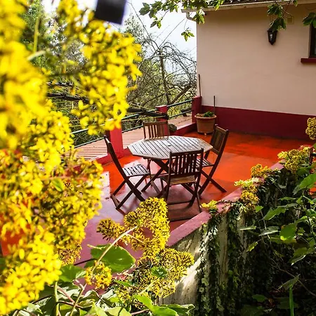 Hortensia Gardens Funchal (Madeira)